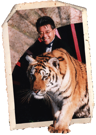 tiger