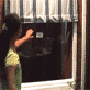 window