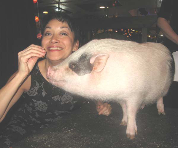 gingiandpig