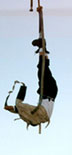 Straitjacket2